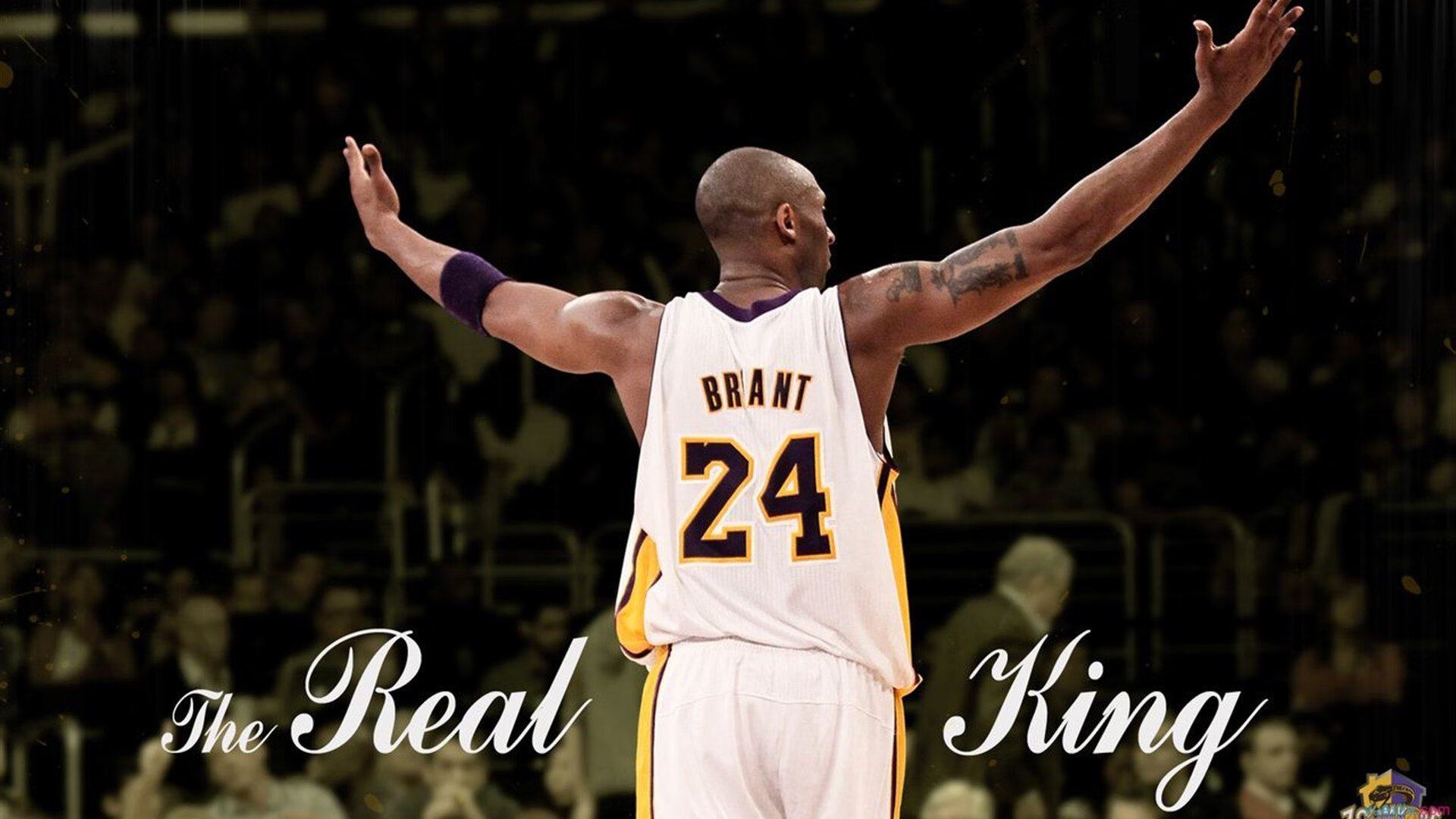 _大型主题公园:娱乐+运动一体化的欢乐赛事_,主题公园运营